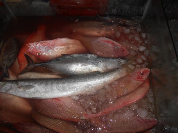 Click image for larger version
Name: Jimbaran 17.jpg
Views: 1
Size: 35.1 KB
ID: 25294