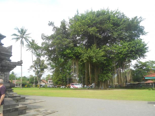 Click image for larger version
Name: jkhfcplu 766.jpg
Views: 1
Size: 53.5 KB
ID: 25353