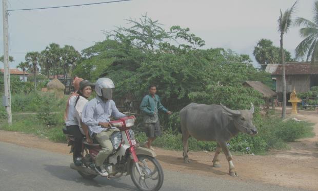 Click image for larger version
Name: 2017-01-18 16.30.58-1.jpg
Views: 1
Size: 35.4 KB
ID: 25378