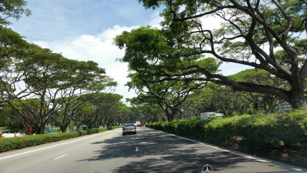 Click image for larger version
Name: 2017-06-30 14.24.56.jpg
Views: 1
Size: 55.4 KB
ID: 25421