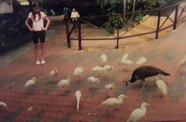 Click image for larger version
Name:	20210301_203754.jpg
Views:	1
Size:	31.3 KB
ID:	25673